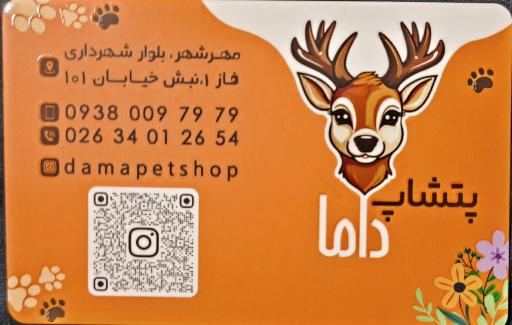 پت شاپ داما