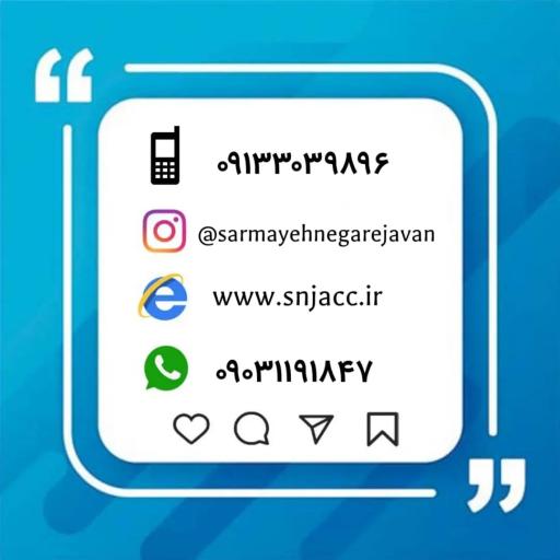 عکس مؤسسه خدمات مالی سرمایه نگار جوان 