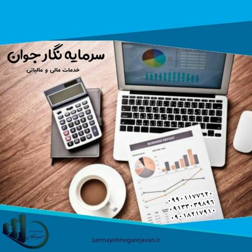 عکس مؤسسه خدمات مالی سرمایه نگار جوان