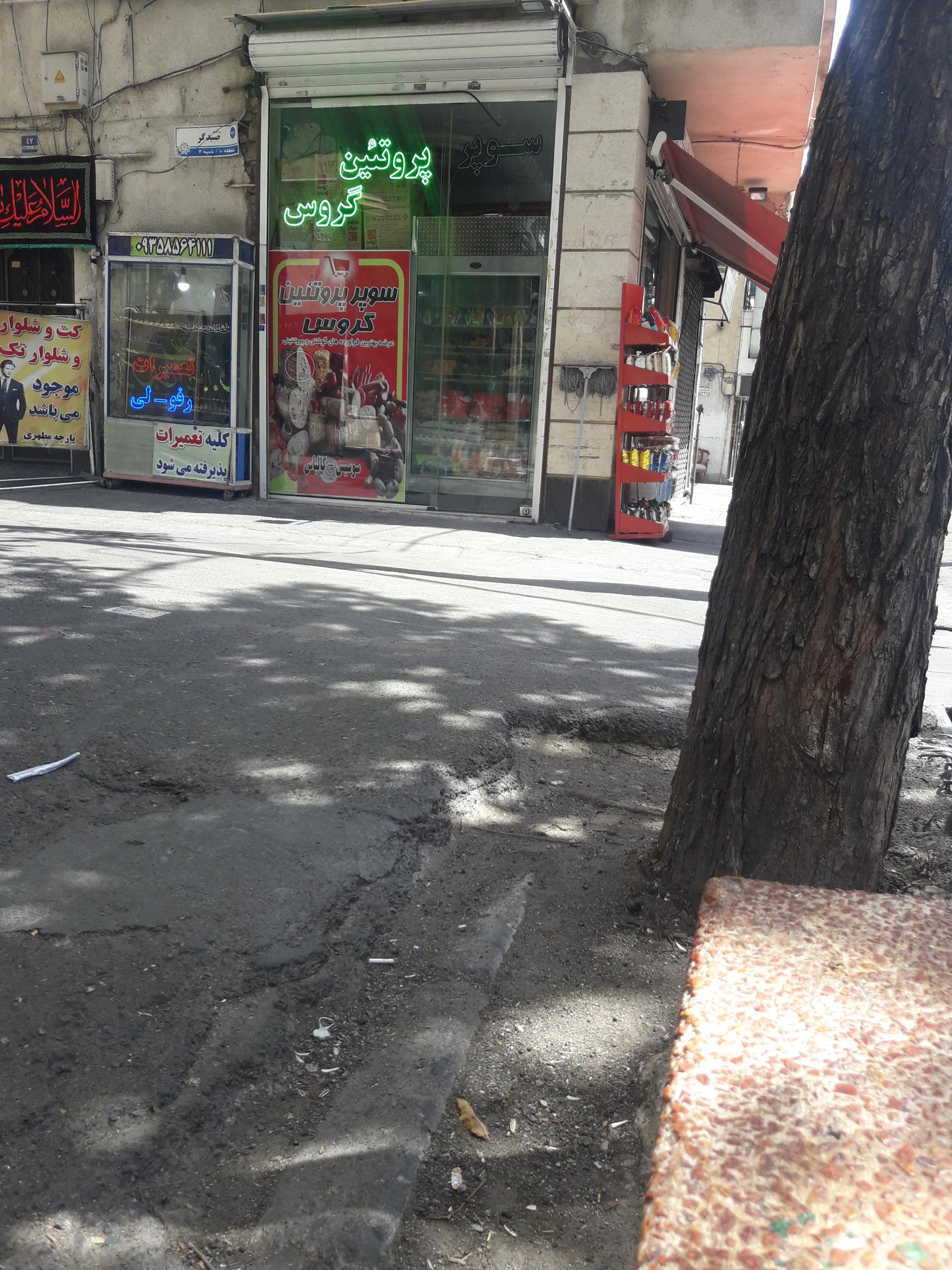 عکس پروتئینی گروس