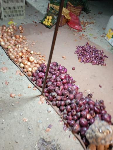 عکس شنبه بازار جدید ارم 