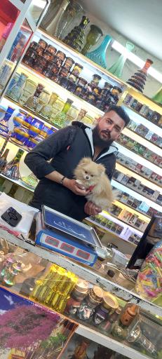 عکس قلیان و دخانیات  آقای دود