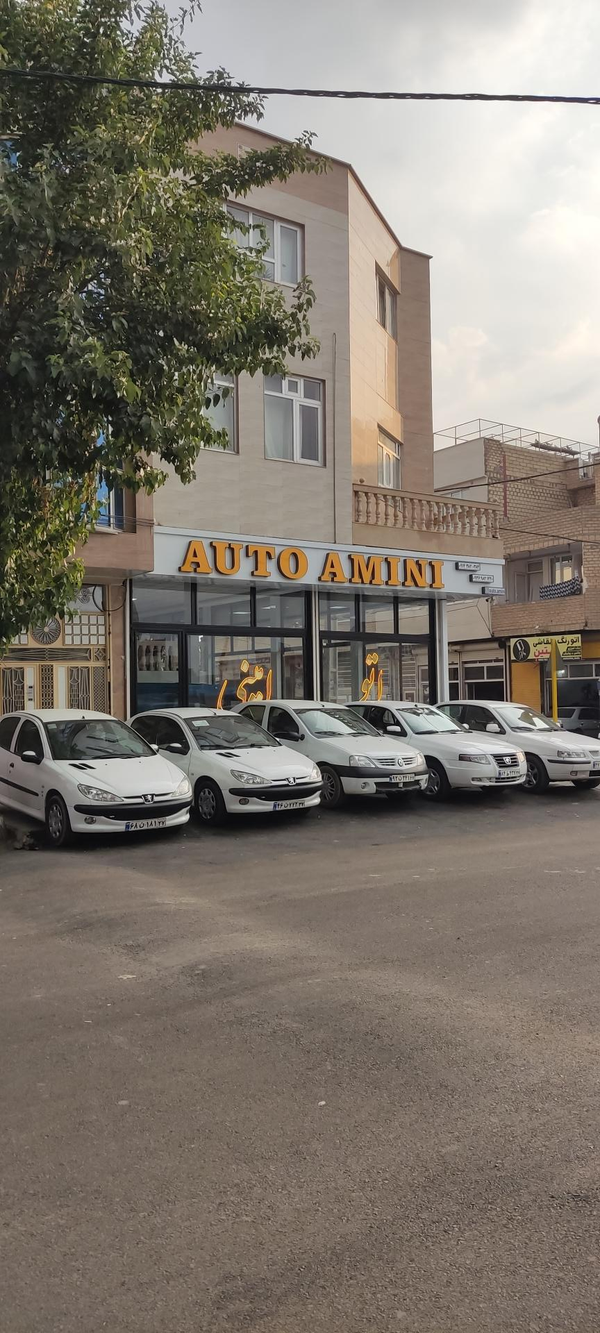 عکس اتو امینی