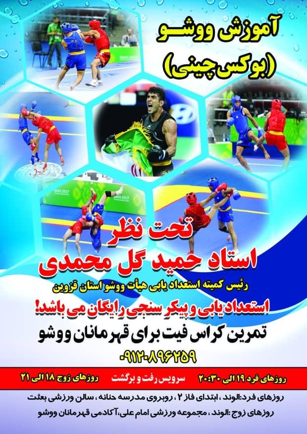 عکس آکادمی استعدادهای برتر ووشو(استادحمیدگل محمدی)