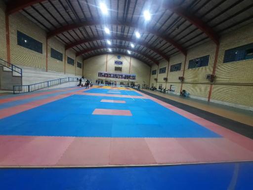 عکس آکادمی استعدادهای برتر ووشو(استادحمیدگل محمدی)