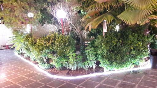 عکس موسسه زبان کیش