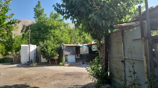 عکس دامداری برادران امینی