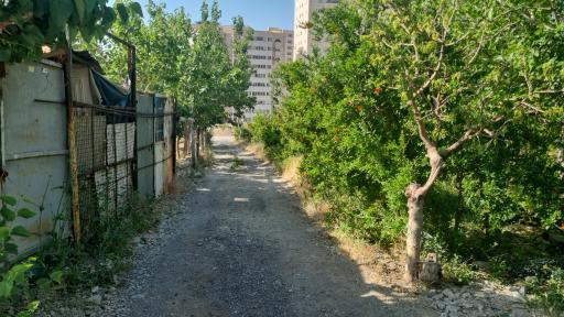 عکس دامداری برادران امینی