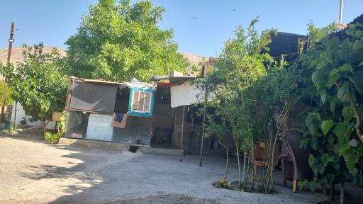 عکس دامداری برادران امینی