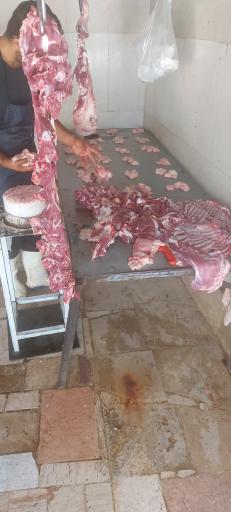 عکس دامداری برادران امینی