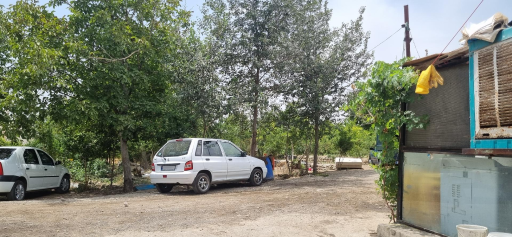 عکس دامداری برادران امینی