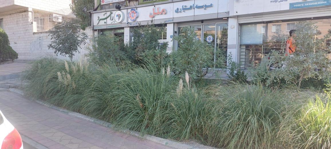 عکس موسسه اعتباری ملل شعبه شهران شمالی