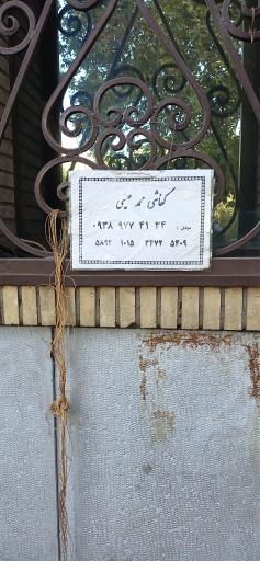 عکس کفاشی عیسی