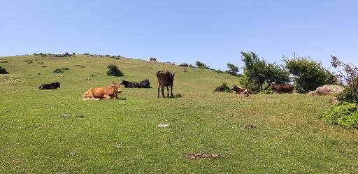 عکس آبگیر گلدیان