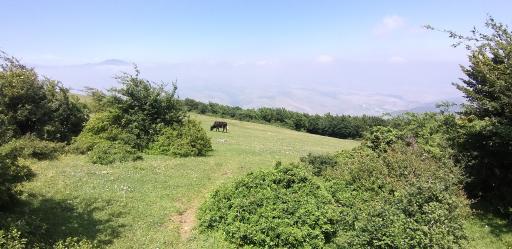 عکس آبگیر گلدیان