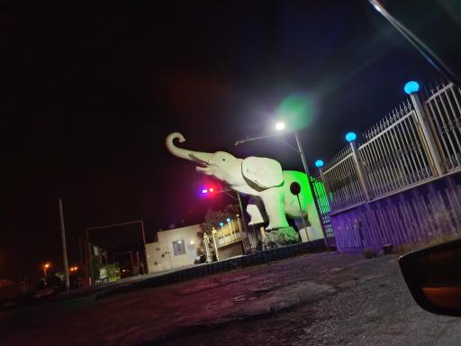 عکس تالار مجلل فیل سفید