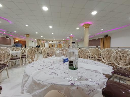 عکس تالار مجلل فیل سفید