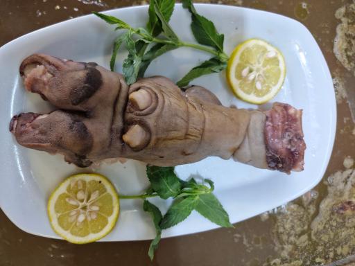 عکس طباخی سجاد