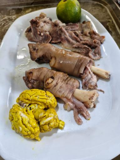 عکس طباخی سجاد