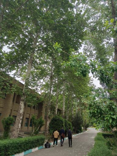 عکس دانشگاه تربیت دبیر شهید رجایی