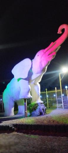 عکس تالار مجلل فیل سفید