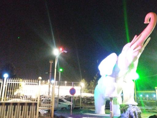 عکس تالار مجلل فیل سفید