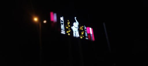 عکس تالار مجلل فیل سفید