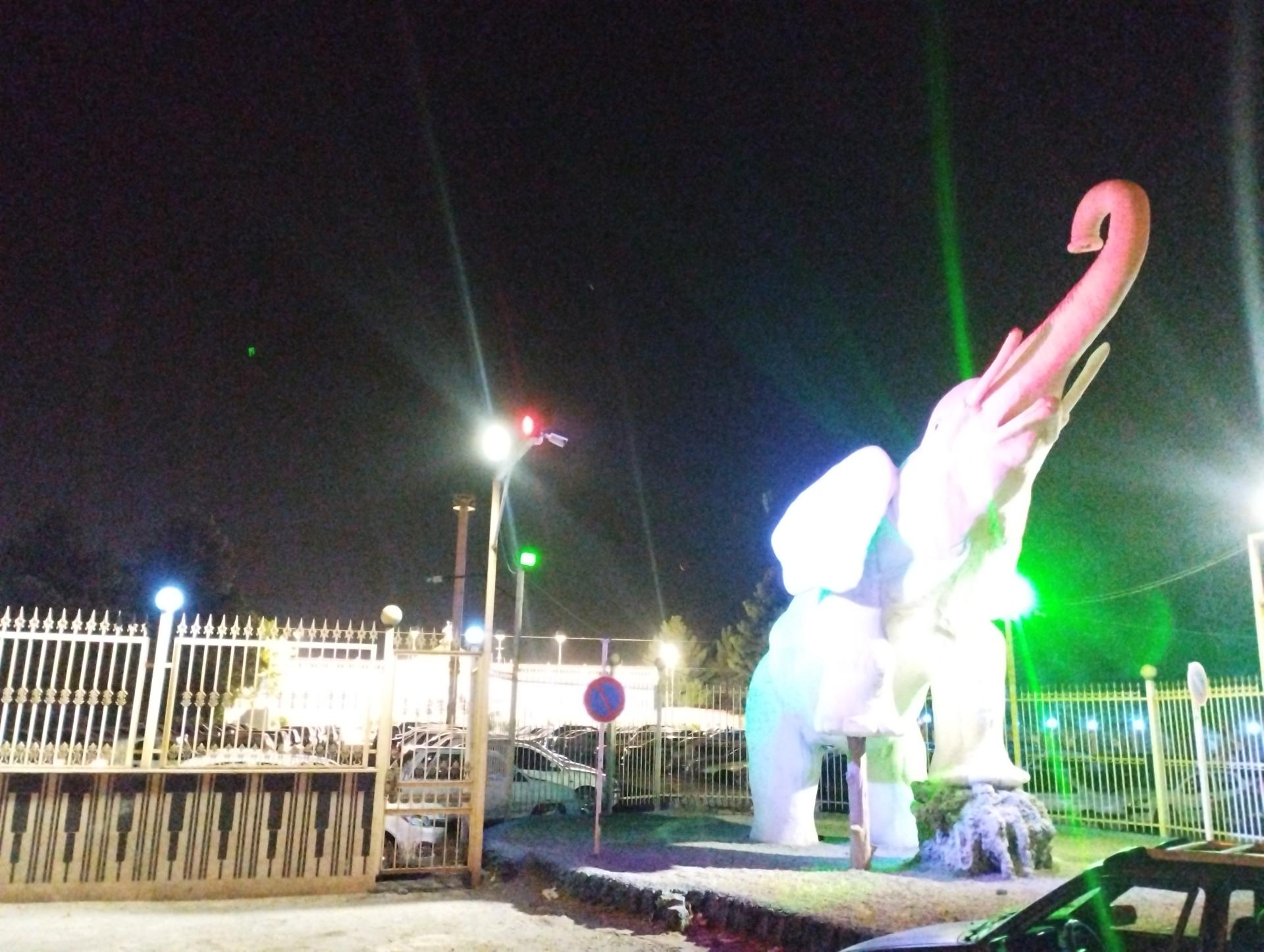 عکس تالار مجلل فیل سفید