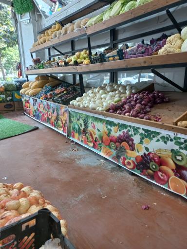 میوه سرای آراک