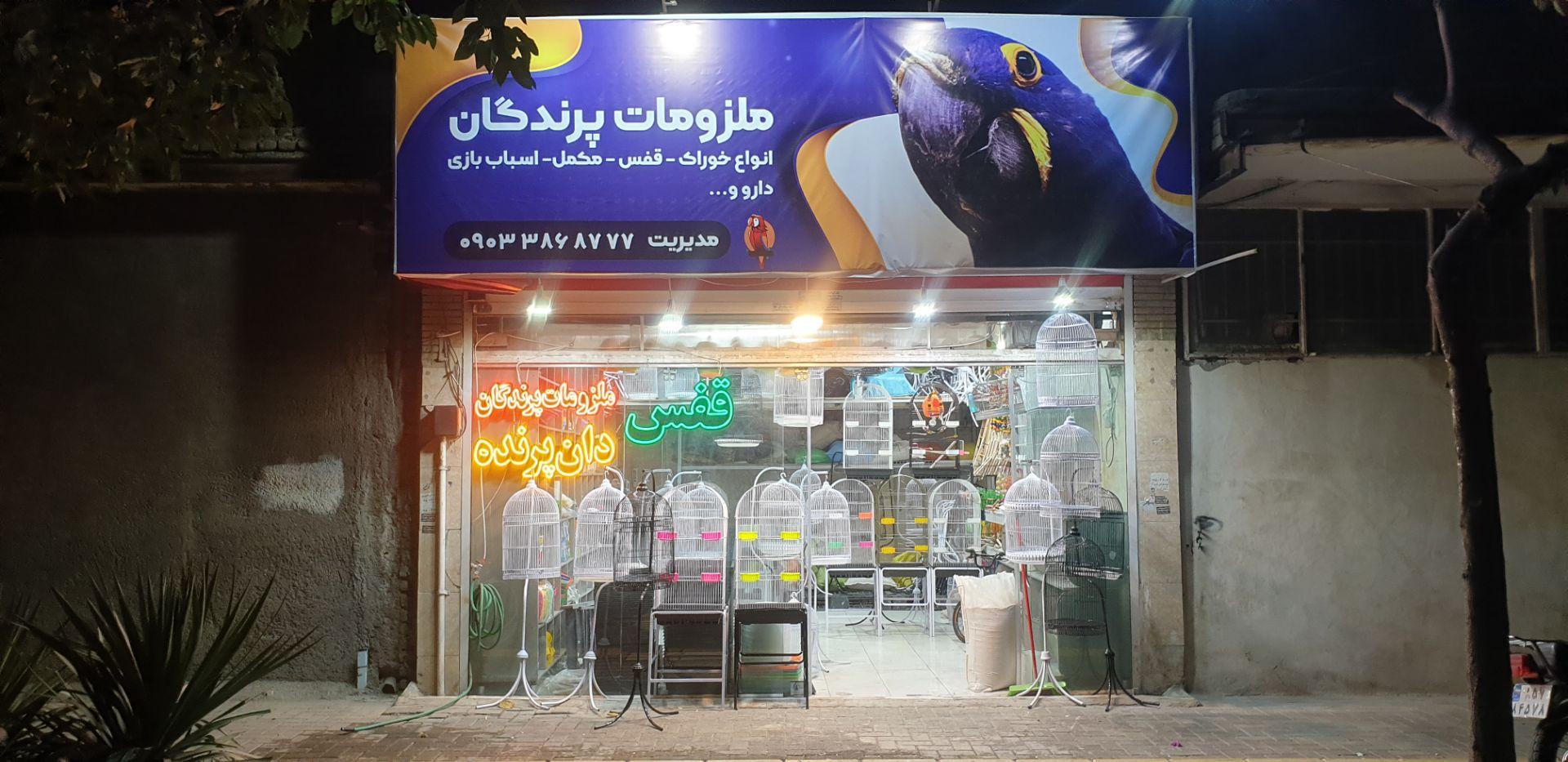 عکس ملزومات پرندگان مظلوم