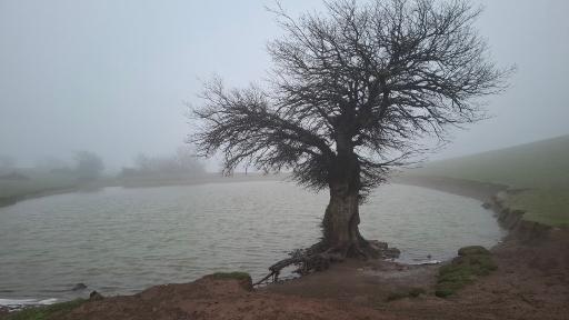 عکس آبگیر گلدیان