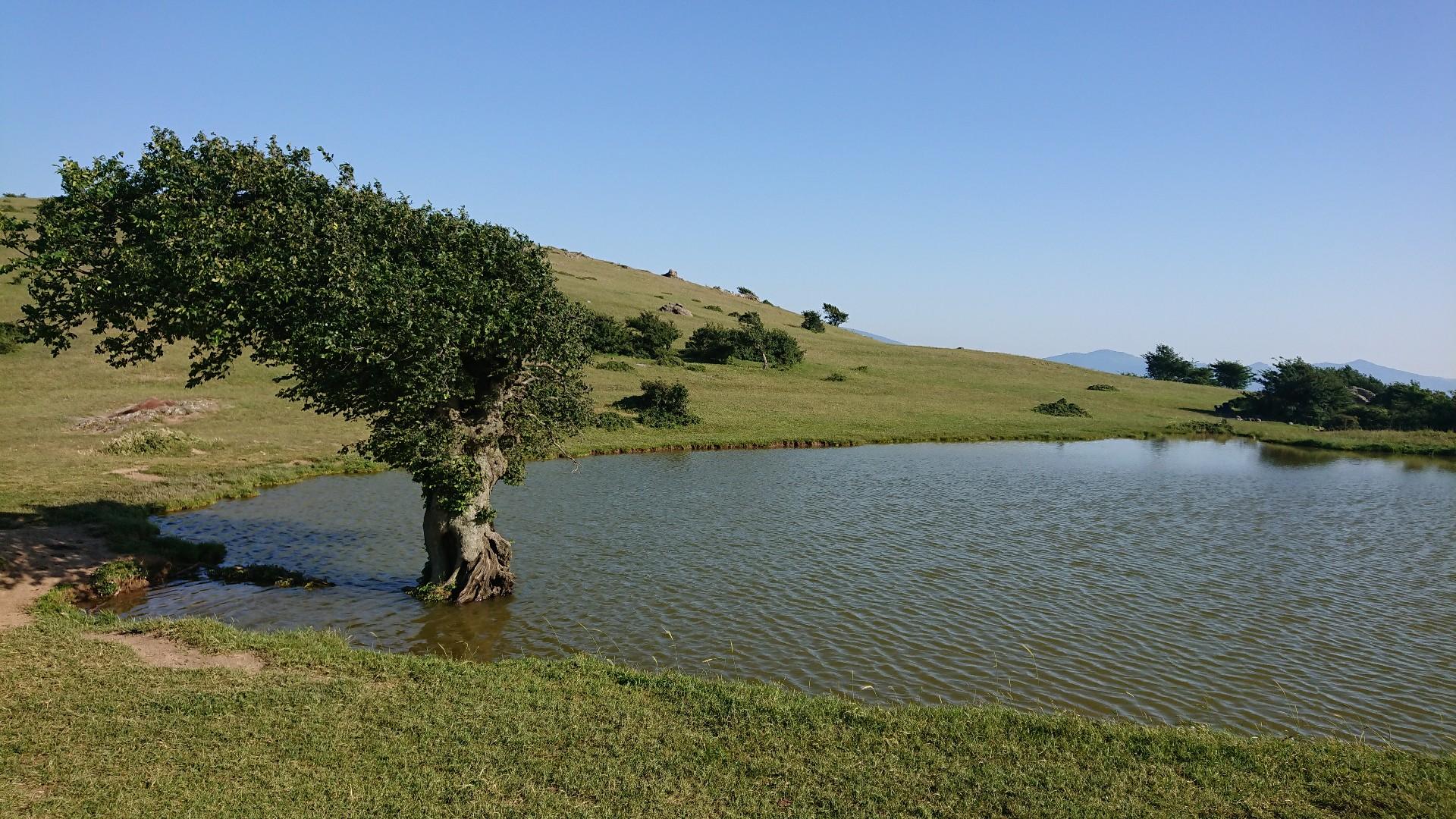 عکس آبگیر گلدیان