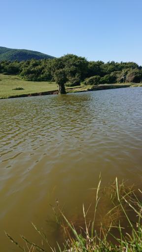 عکس آبگیر گلدیان