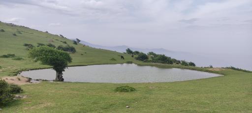 عکس آبگیر گلدیان