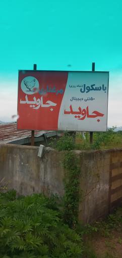 عکس مرغداری جاوید