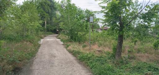 عکس مرغداری جاوید