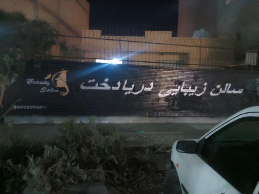 عکس سالن دریادخت