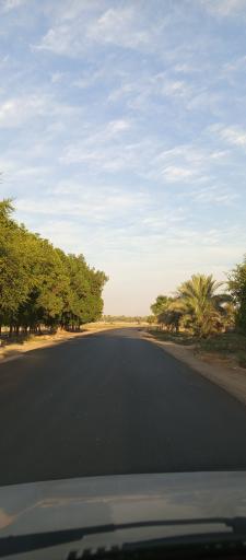 عکس شلیلی بزرگ