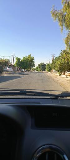 عکس شلیلی بزرگ