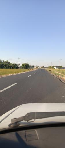 عکس شلیلی بزرگ