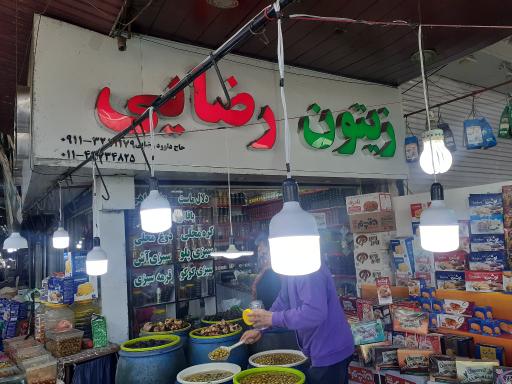 عکس زیتون رضایی