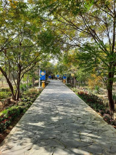 عکس دانشگاه شاهد تهران