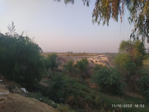 عکس شلیلی بزرگ