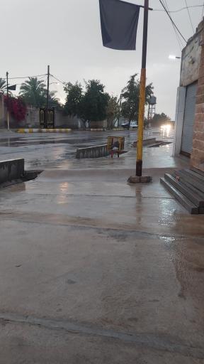 عکس شلیلی بزرگ