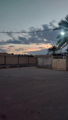 شلیلی بزرگ