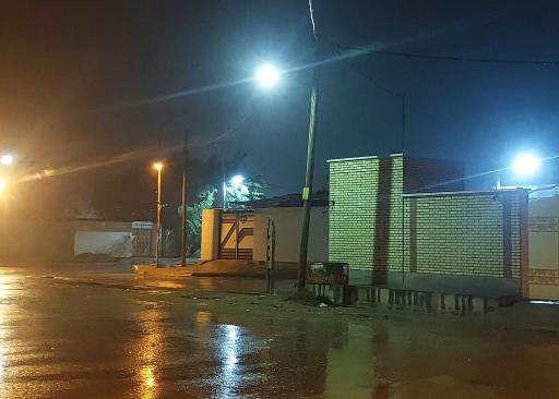عکس شلیلی بزرگ