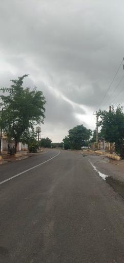عکس شلیلی بزرگ