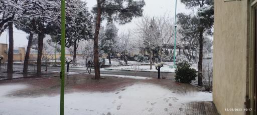 عکس ایوانکی