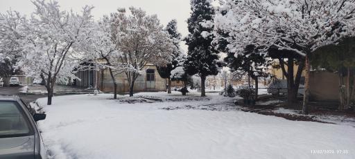 عکس ایوانکی