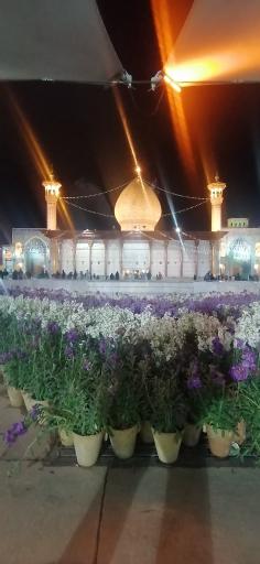 عکس صحن احمدی